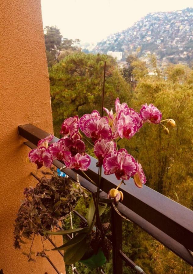 Courtyards Peak-Corner Pinestay - At Goshenland Baguio Baguio City Exterior foto
